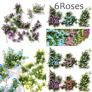 3D 2 Different 3D models in the 2scenes Climbing Roses Wall Grow model