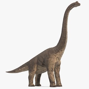 3D brachiosaurus altithorax rigged