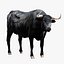 Bull Cow NoFur Rigged 3D
