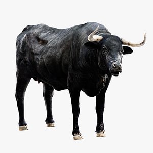 Bull Cow NoFur Rigged 3D