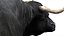 Bull Cow NoFur Rigged 3D