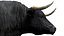 Bull Cow NoFur Rigged 3D