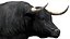 Bull Cow NoFur Rigged 3D
