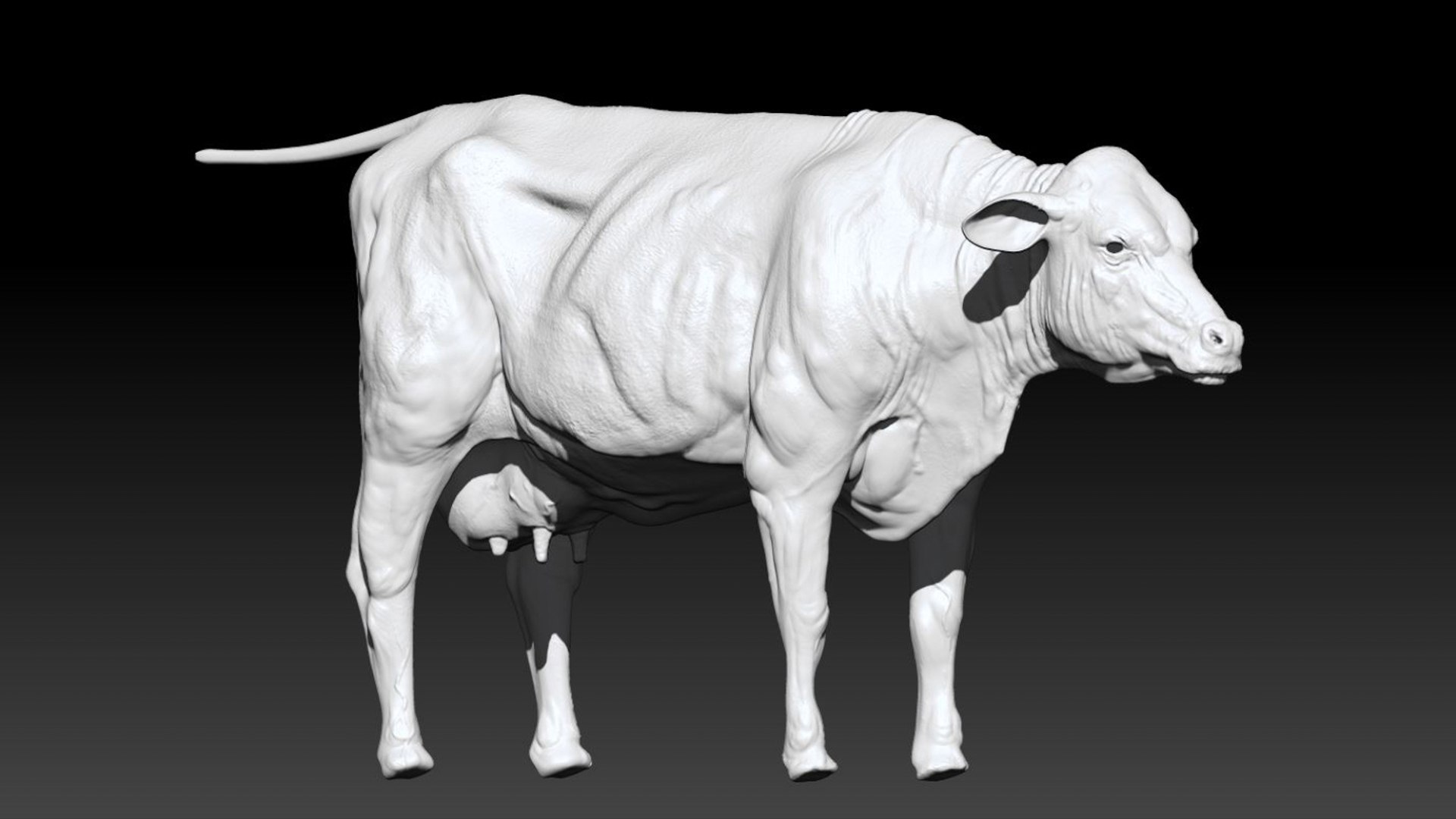 Bull Cow NoFur Rigged 3D 3D https://p.turbosquid.com/ts-thumb/uW/G2R70X/Iv/18/jpg/1751002107/1920x1080/fit_q87/112fb329d11d3c7b9ef08b8364dd5afb5c42bfb9/18.jpg