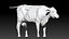 Bull Cow NoFur Rigged 3D