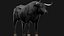 Bull Cow NoFur Rigged 3D