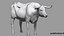 Bull Cow NoFur Rigged 3D