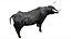 Bull Cow NoFur Rigged 3D