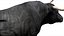 Bull Cow NoFur Rigged 3D