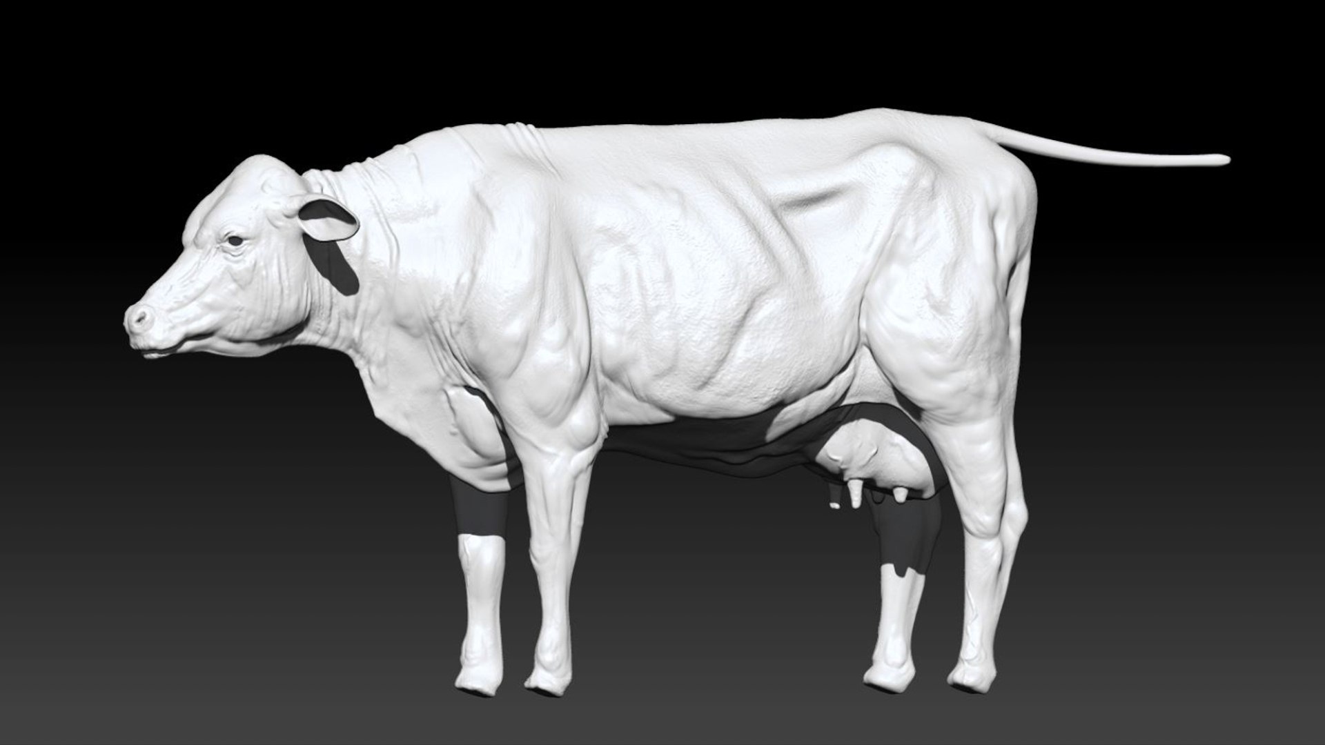 Bull Cow NoFur Rigged 3D 3D https://p.turbosquid.com/ts-thumb/uW/G2R70X/eP/19/jpg/1751002107/1920x1080/fit_q87/0d89f5383e594dbd4849a5ac39906289f3f09297/19.jpg