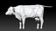 Bull Cow NoFur Rigged 3D