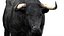 Bull Cow NoFur Rigged 3D