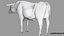 Bull Cow NoFur Rigged 3D