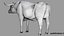 Bull Cow NoFur Rigged 3D