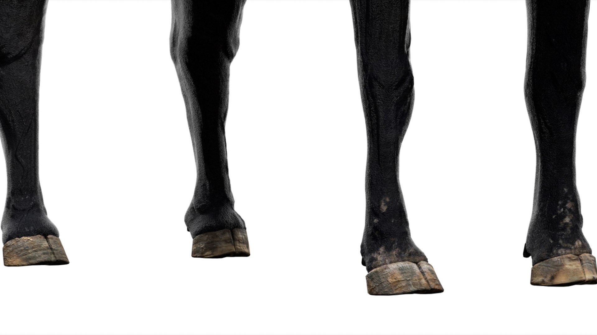 Bull Cow NoFur Rigged 3D 3D https://p.turbosquid.com/ts-thumb/uW/G2R70X/xC/06/jpg/1751002100/1920x1080/fit_q87/2108fb26c93ea7e0bca05a87203d867681f7a8bf/06.jpg