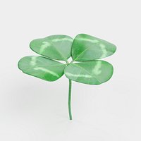 clover