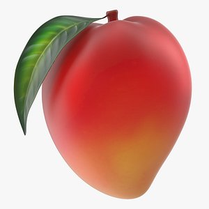 fresh mango fruit 3D model