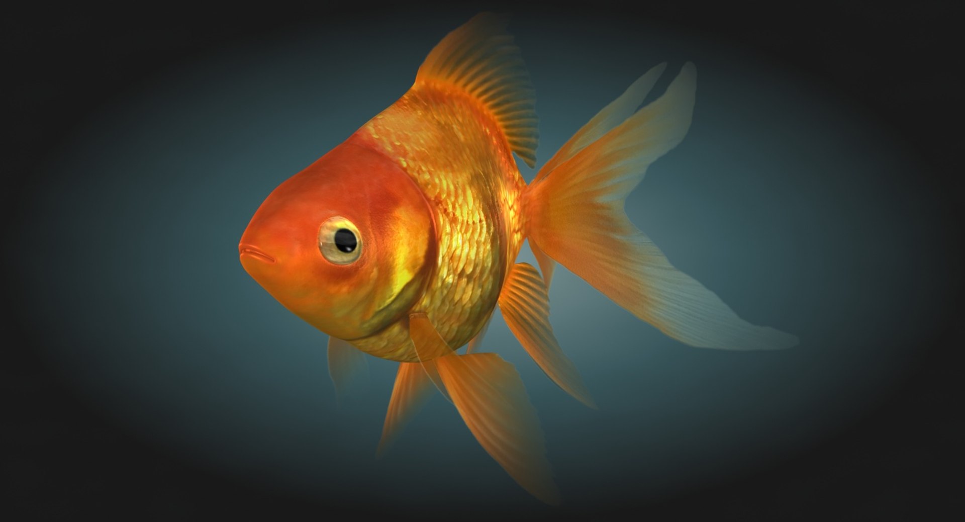 3D Ryukin Goldfish Rigged Scanline Model - TurboSquid 1164593