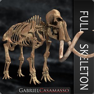 Woollly Mammoth Complete Skeleton System