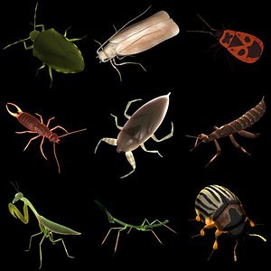 bugs set
