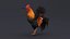 3D Rooster Animated