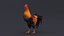 3D Rooster Animated