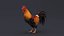 3D Rooster Animated