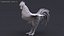 3D Rooster Animated