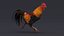 3D Rooster Animated
