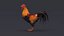 3D Rooster Animated