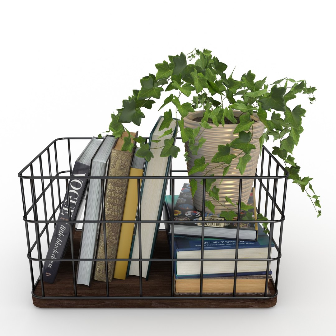 books plant 3D model https://p.turbosquid.com/ts-thumb/uX/0Bw2HU/08/render6/jpg/1605616905/1920x1080/fit_q87/a1680a6e93dc0dc18bc47ce747cbaa0e2ae1bec1/render6.jpg