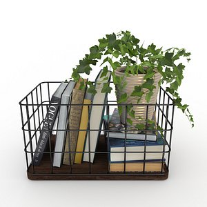 Books and Plant Decor
