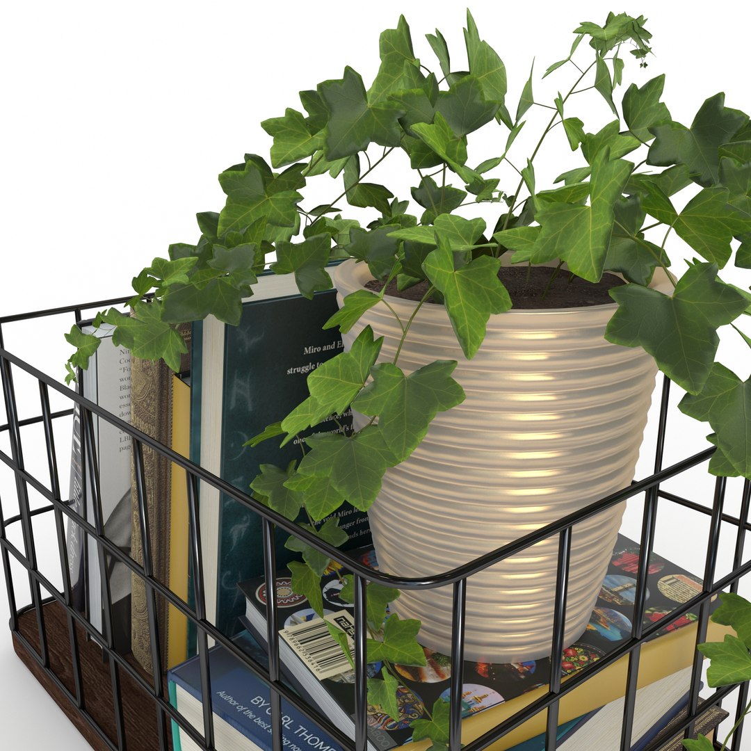 books plant 3D model https://p.turbosquid.com/ts-thumb/uX/0Bw2HU/JY/render3/jpg/1605616939/1920x1080/fit_q87/037d5ac1ba3f78e138e89e51ffbba54a06b20a70/render3.jpg