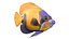 50 Fish Sea Creature Collection v3