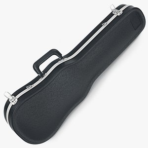 Case Viola
