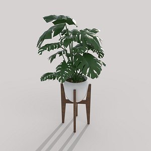 3D House Plant in Pot model