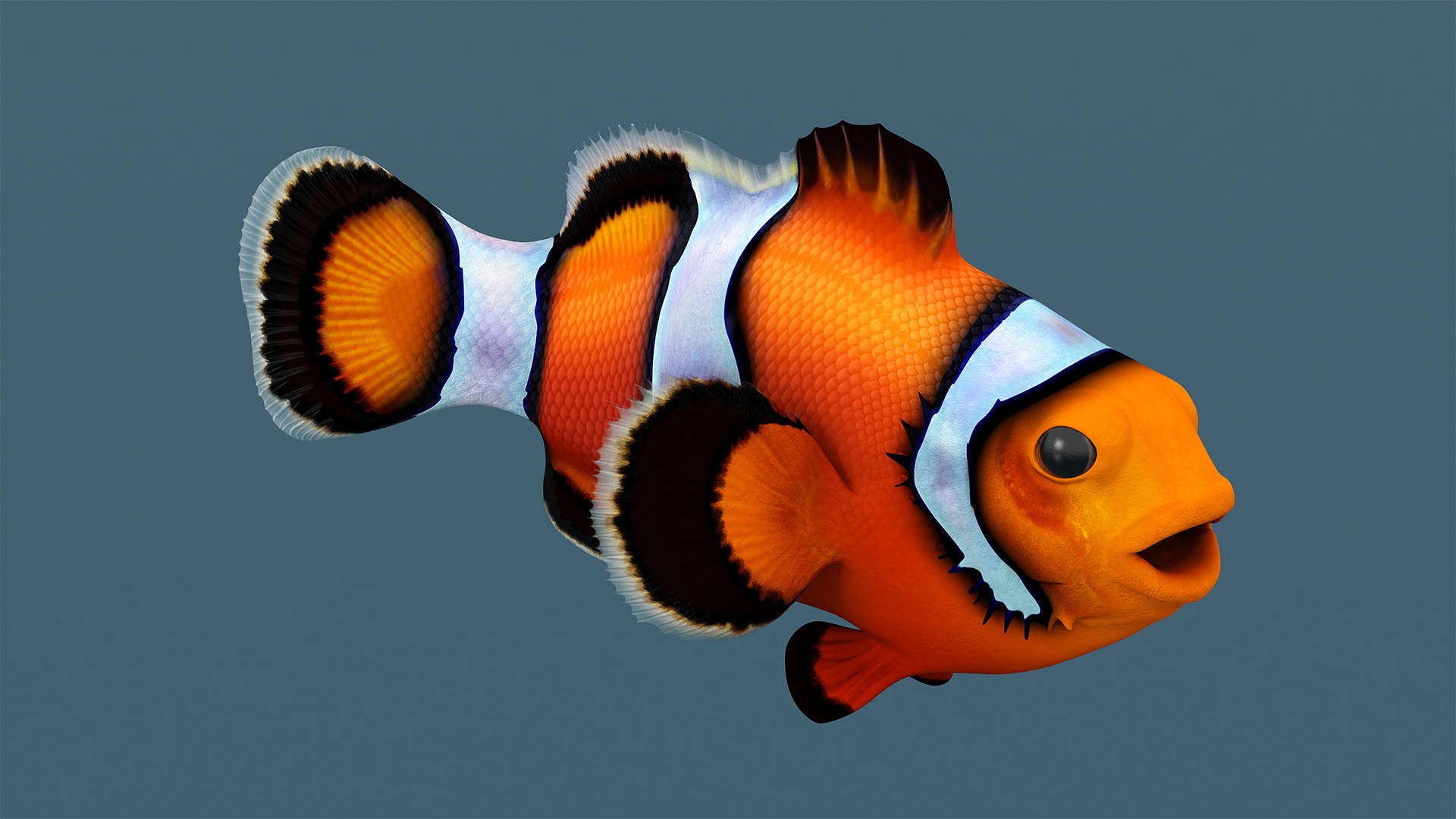 Realistic Clownfish Rigged For Maya 3D Model - TurboSquid 2342499