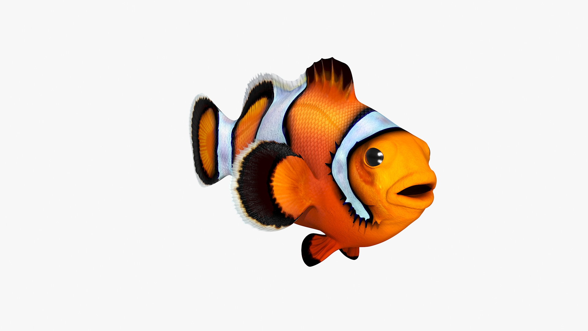 Realistic Clownfish Rigged For Maya 3D Model - TurboSquid 2342499