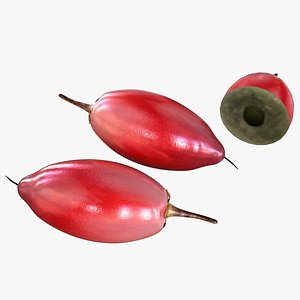 3D fruits model