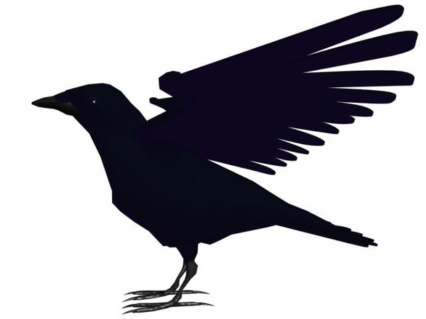 low-poly crow 3d model