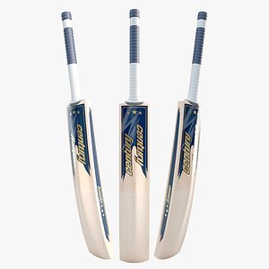 Modern Cricket Bat