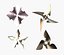 Shurikens pack
