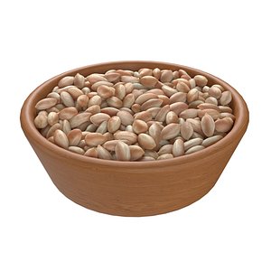 Pranut kernel white bowl 3D model