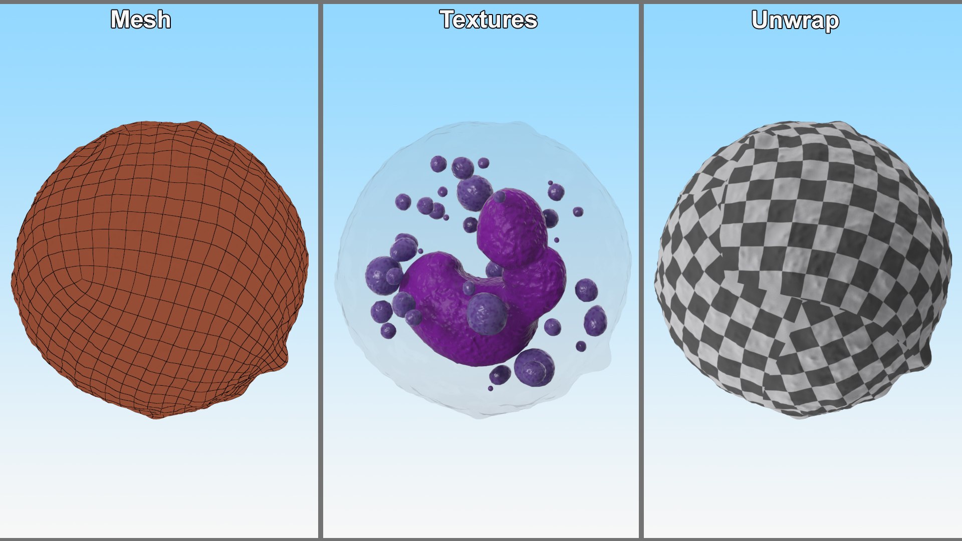 3D Basophil Blood Cell model https://p.turbosquid.com/ts-thumb/uY/0Hpyoh/7W/basophilbloodcellc4dmodel017/jpg/1696029157/1920x1080/fit_q87/b9e28a627623e9dd62e40121217b8f50ff3585b6/basophilbloodcellc4dmodel017.jpg