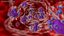 Basophil Blood Cell