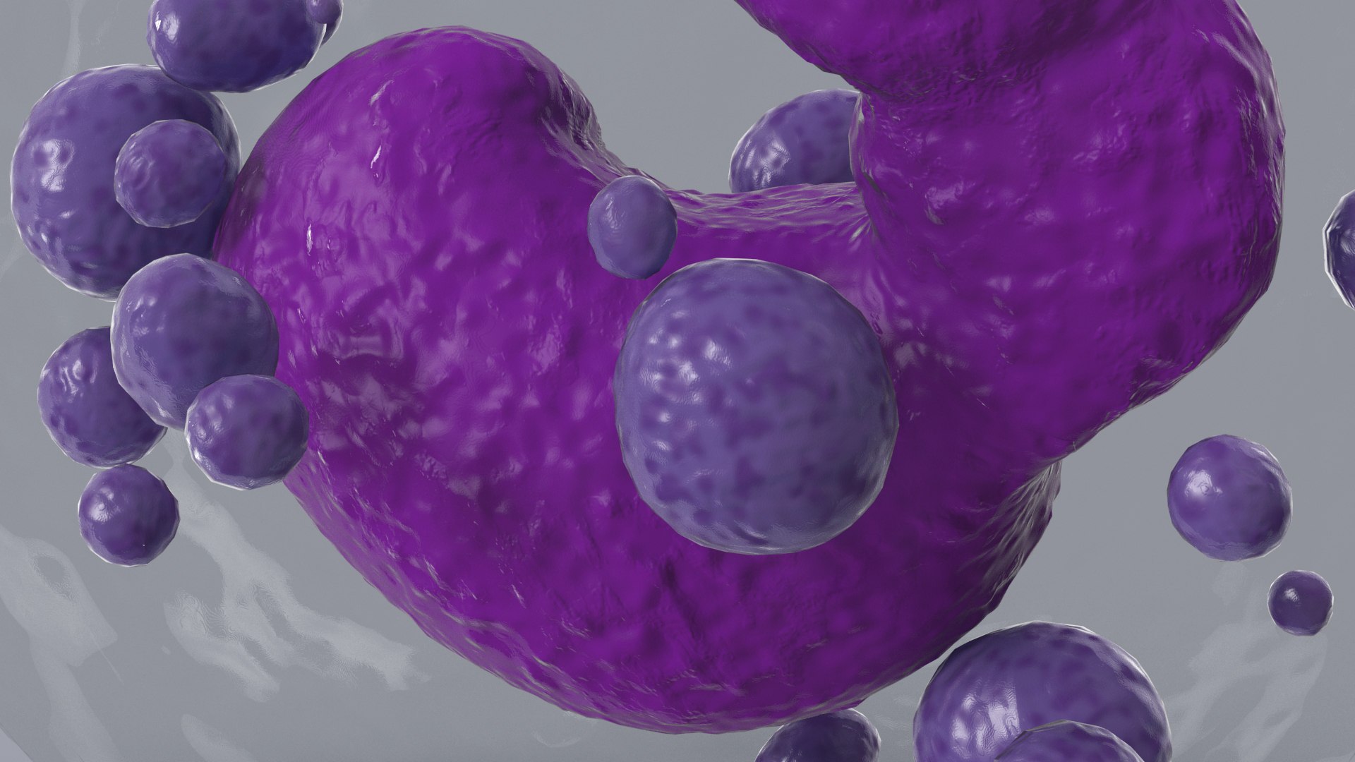 3D Basophil Blood Cell model https://p.turbosquid.com/ts-thumb/uY/0Hpyoh/Ji/basophilbloodcellc4dmodel015/jpg/1696029148/1920x1080/fit_q87/f4392519aa81c209815e82b143a8154306f7ef6f/basophilbloodcellc4dmodel015.jpg
