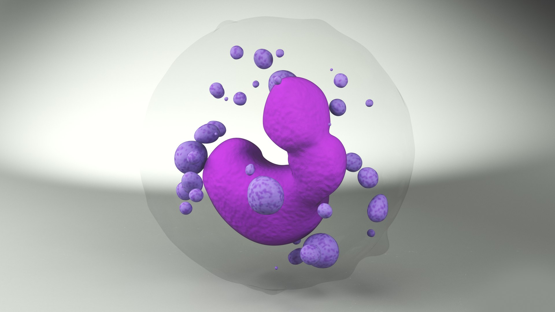 3D Basophil Blood Cell model https://p.turbosquid.com/ts-thumb/uY/0Hpyoh/La/basophilbloodcellc4dmodel011/jpg/1696029130/1920x1080/fit_q87/db01a6bdc57d063c9d48ef2490253c8549ef6d10/basophilbloodcellc4dmodel011.jpg