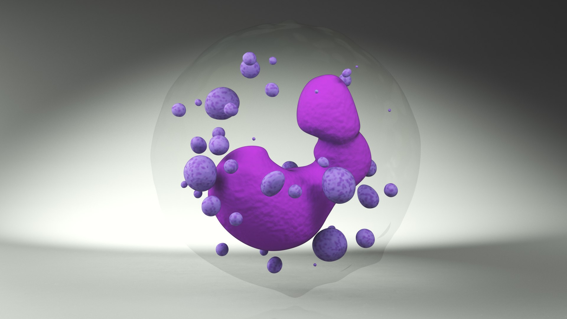 3D Basophil Blood Cell model https://p.turbosquid.com/ts-thumb/uY/0Hpyoh/Ok/basophilbloodcellc4dmodel008/jpg/1696029118/1920x1080/fit_q87/2523a92cd2d5c4e7efced171abd38dedf10e03fd/basophilbloodcellc4dmodel008.jpg