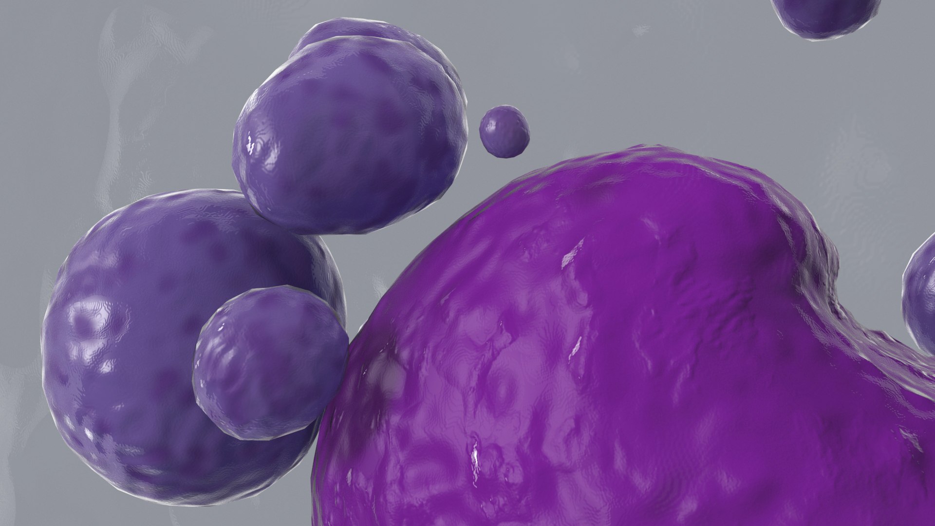 3D Basophil Blood Cell model https://p.turbosquid.com/ts-thumb/uY/0Hpyoh/qN/basophilbloodcellc4dmodel016/jpg/1696029152/1920x1080/fit_q87/ad83b0c63f2e85244ebfa95c487f011c14f96201/basophilbloodcellc4dmodel016.jpg
