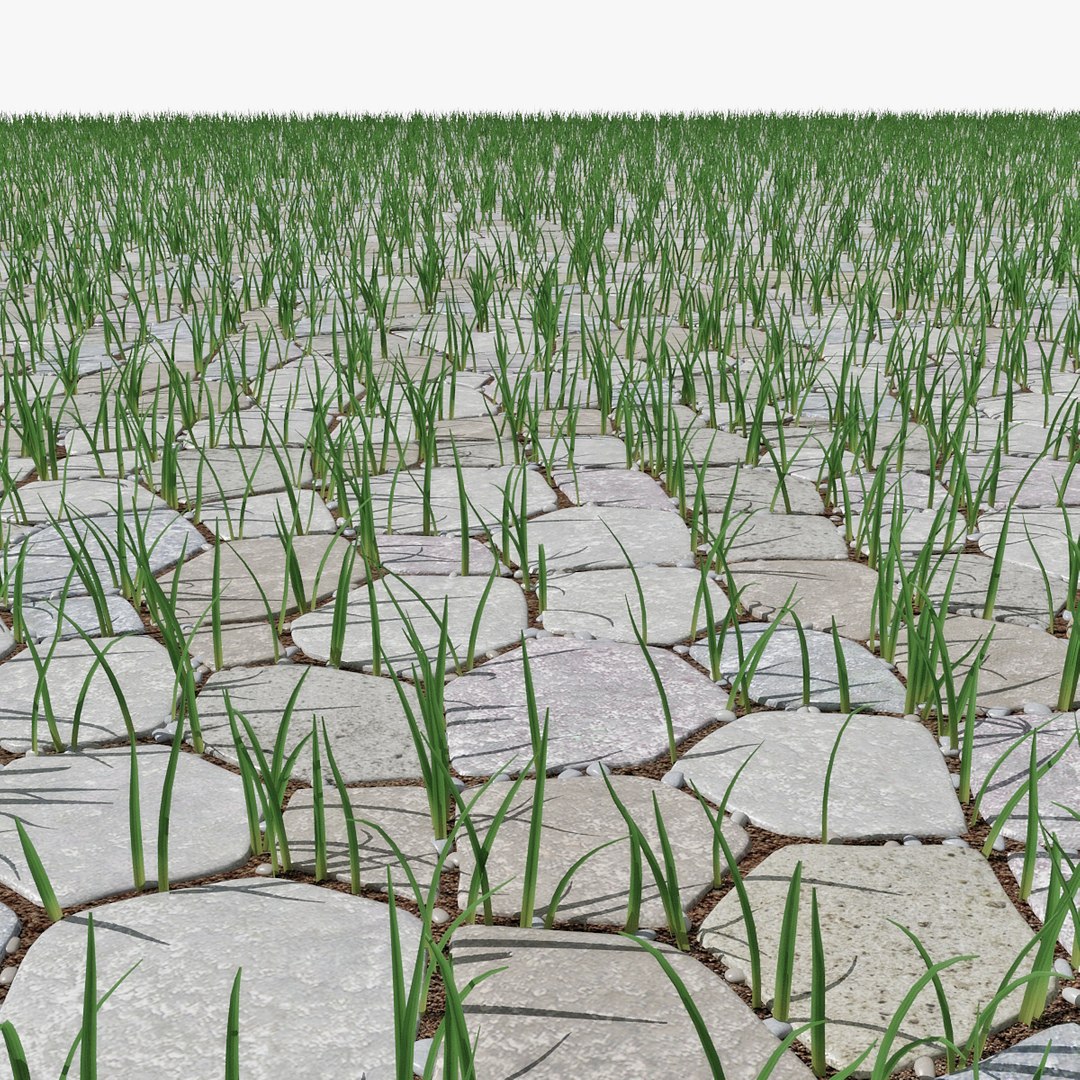 3D Model Paving - TurboSquid 1271092